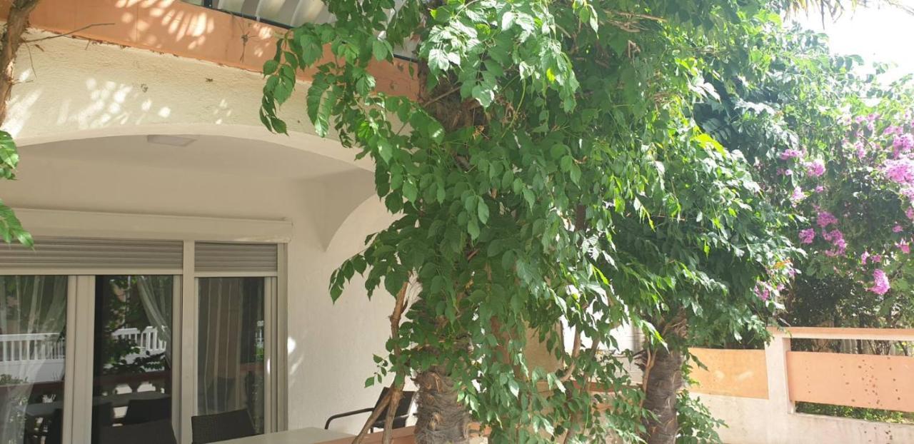 Apartments Kore Vir Εξωτερικό φωτογραφία