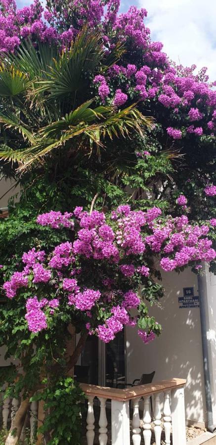 Apartments Kore Vir Εξωτερικό φωτογραφία