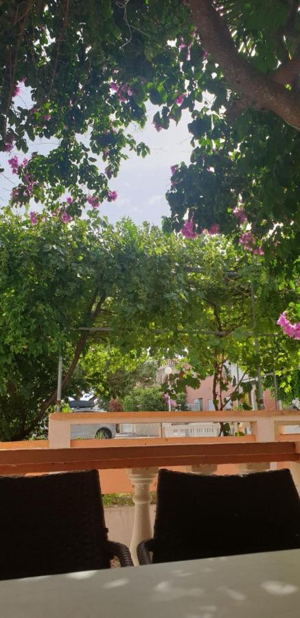 Apartments Kore Vir Εξωτερικό φωτογραφία
